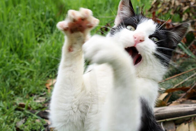 kaiyun体育app-_赛事暂停？天气因素影响比赛节奏_，球赛因天气原因中断