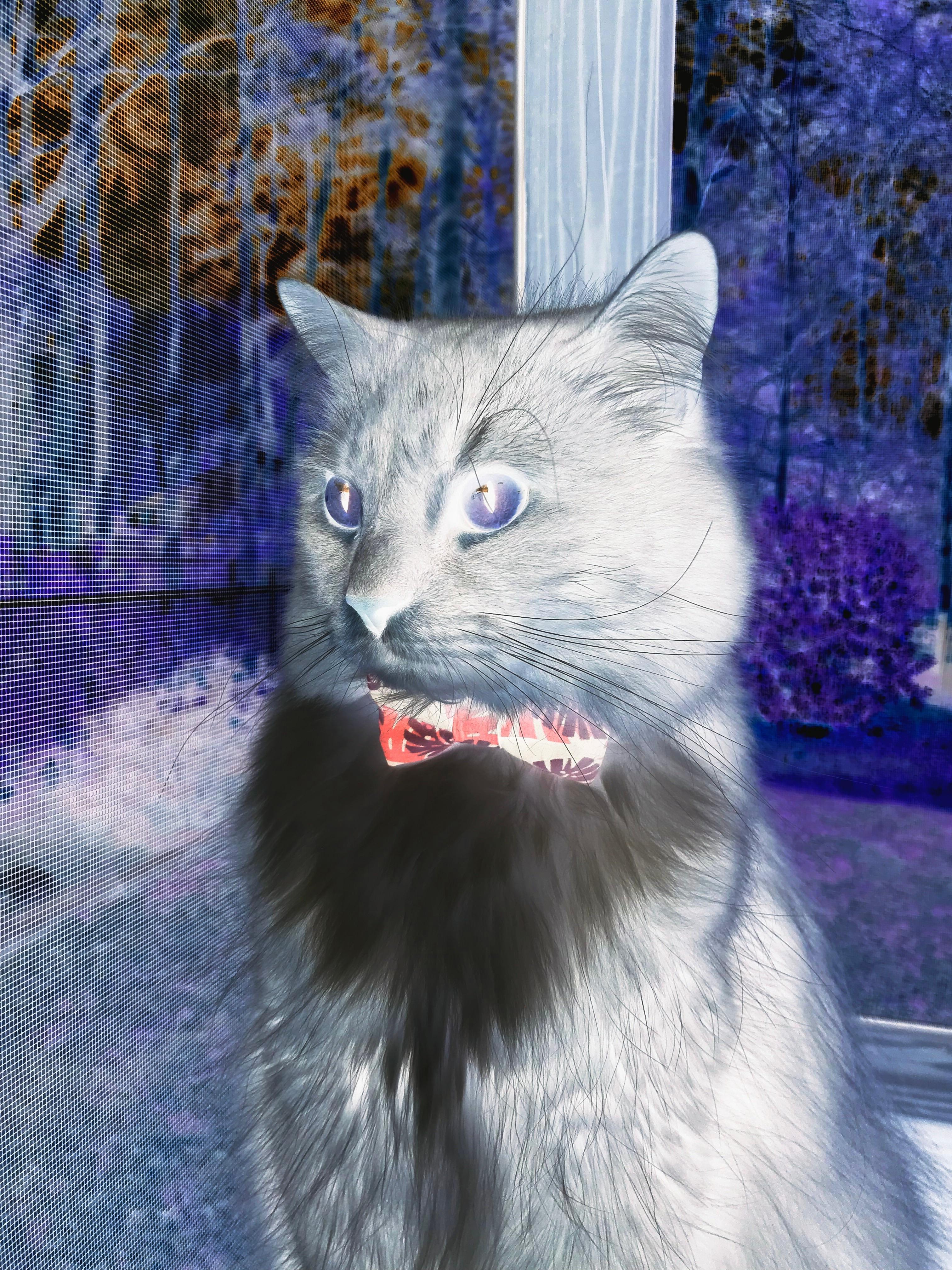 开云网页版-_魔术队不断突破，奋勇迎战未来_，魔术队比赛