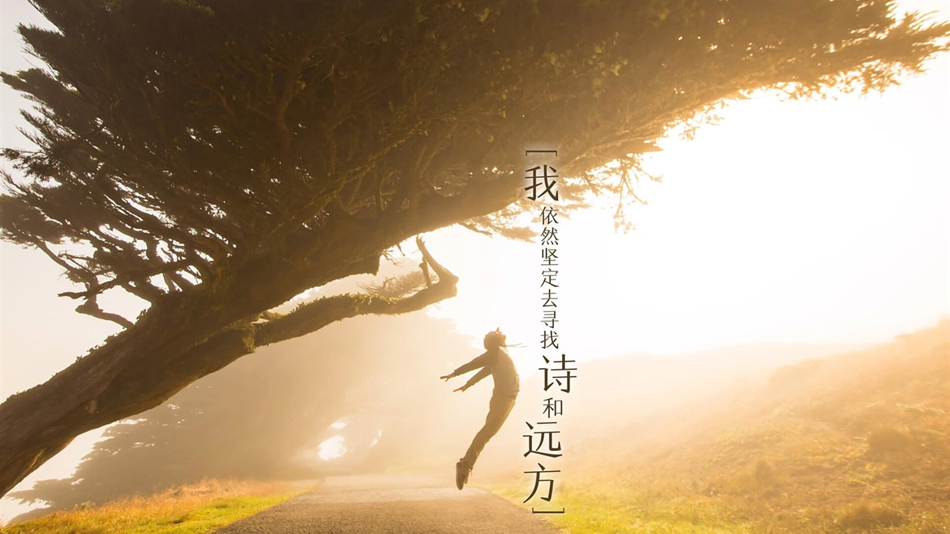 开云·Kaiyun网页版-【比赛纪录】最快破局：纪录背后的精彩故事，打破纪录破记录区别